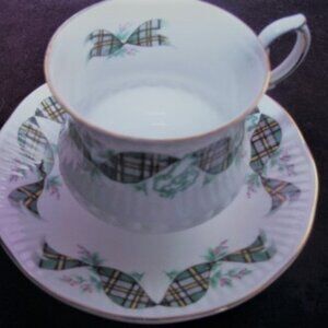 Queens Rosina Fine Bone China Tea Cup & Saucer